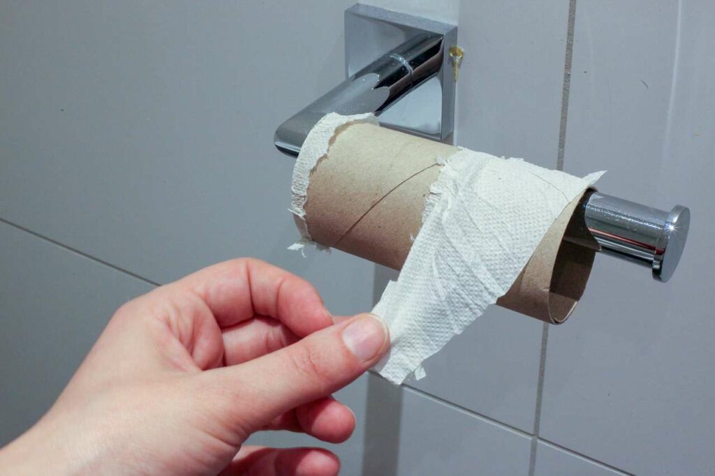 Tubo de cartón de papel higiénico para limpiar rieles./ Pixabay
