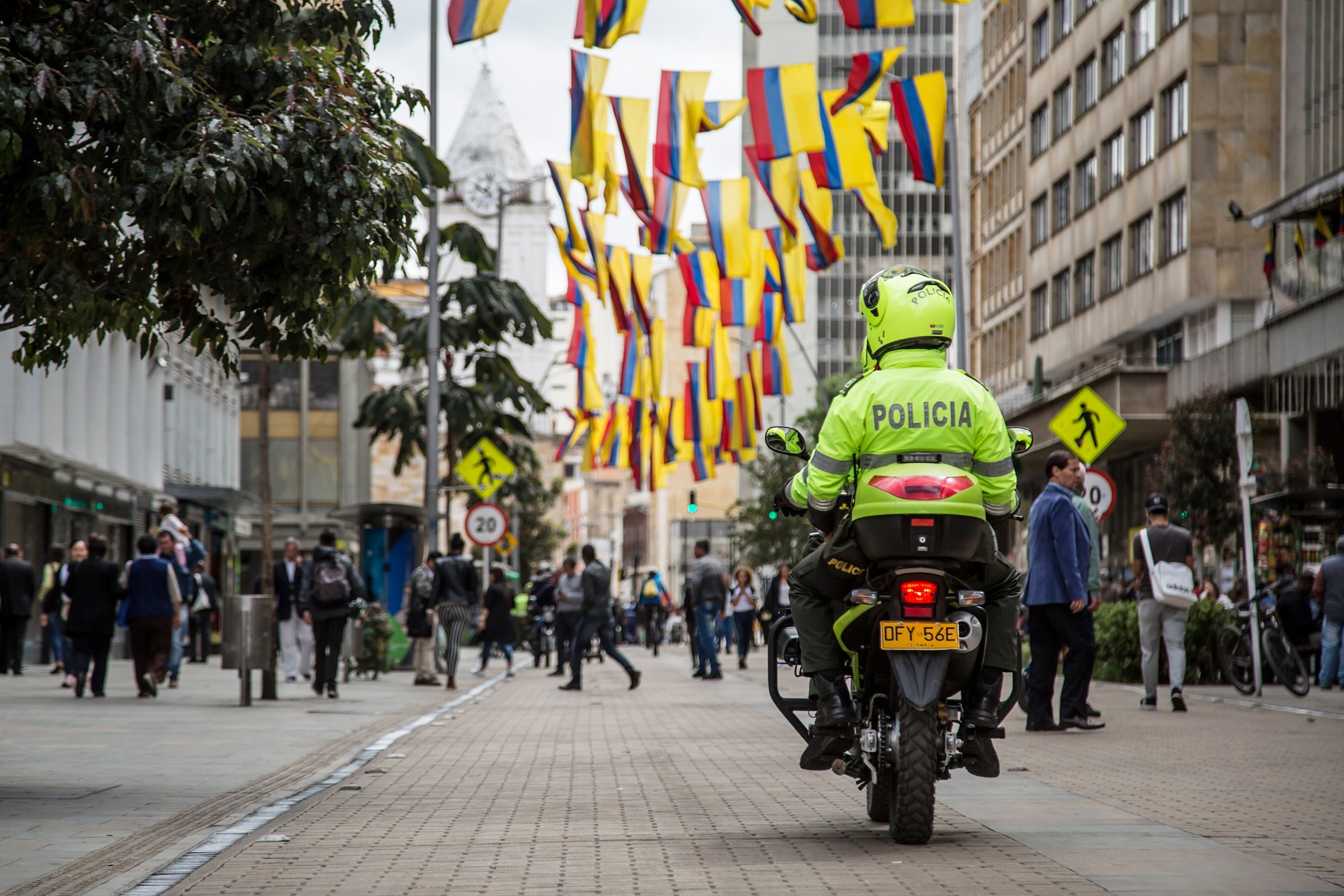 Cómo debe presentar la licencia de conducción a un policía.