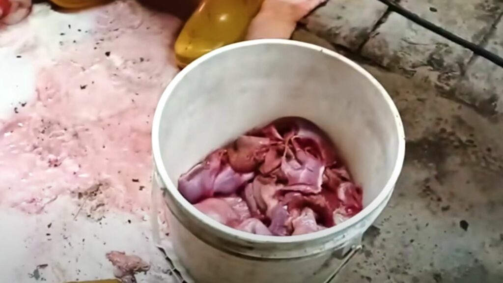 Carne 'moteada' en Bogotá / Foto: captura Youtube (@DiegoAndariego)