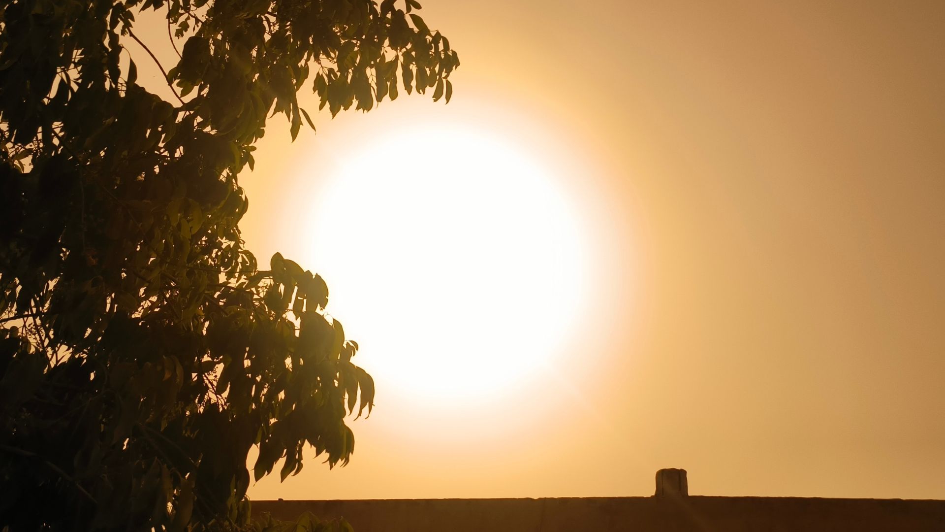 Alerta mundial por registro del día más caluroso de la historia del mundo