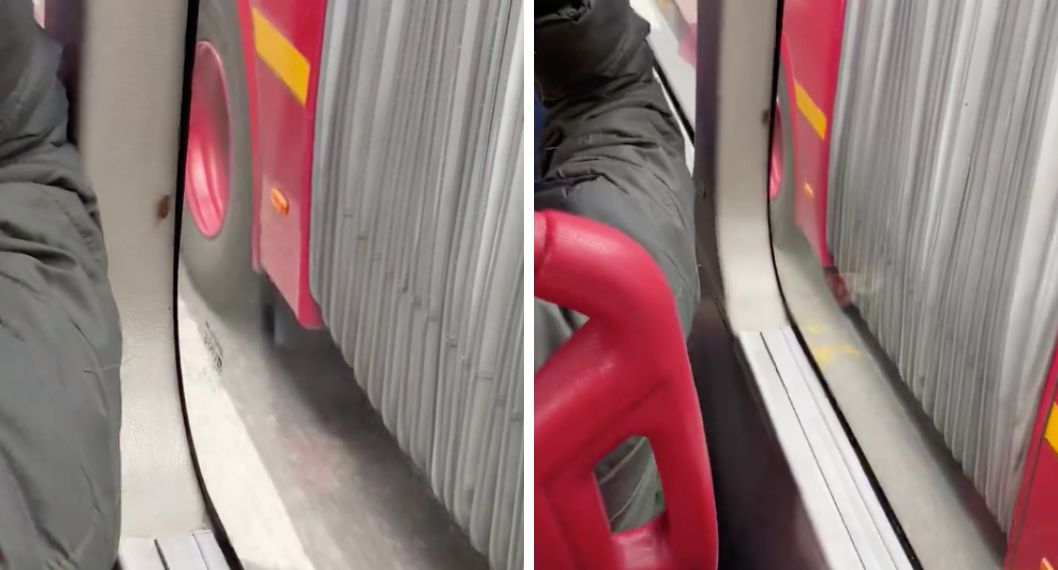 Plaga en Transmilenio: pasajera graba cucaracha en bus y empresa responde