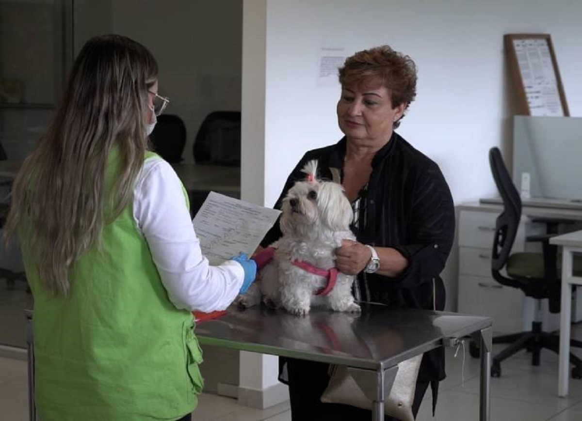 Mujer con su perro