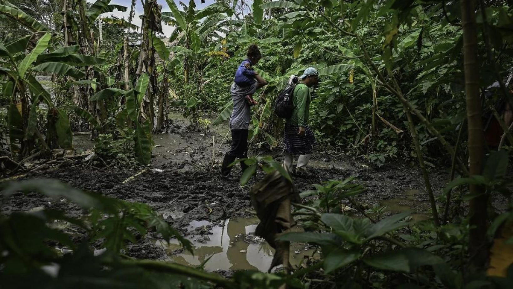 Preocupación en el Darién por posible incremento de migrantes por triunfo de Maduro