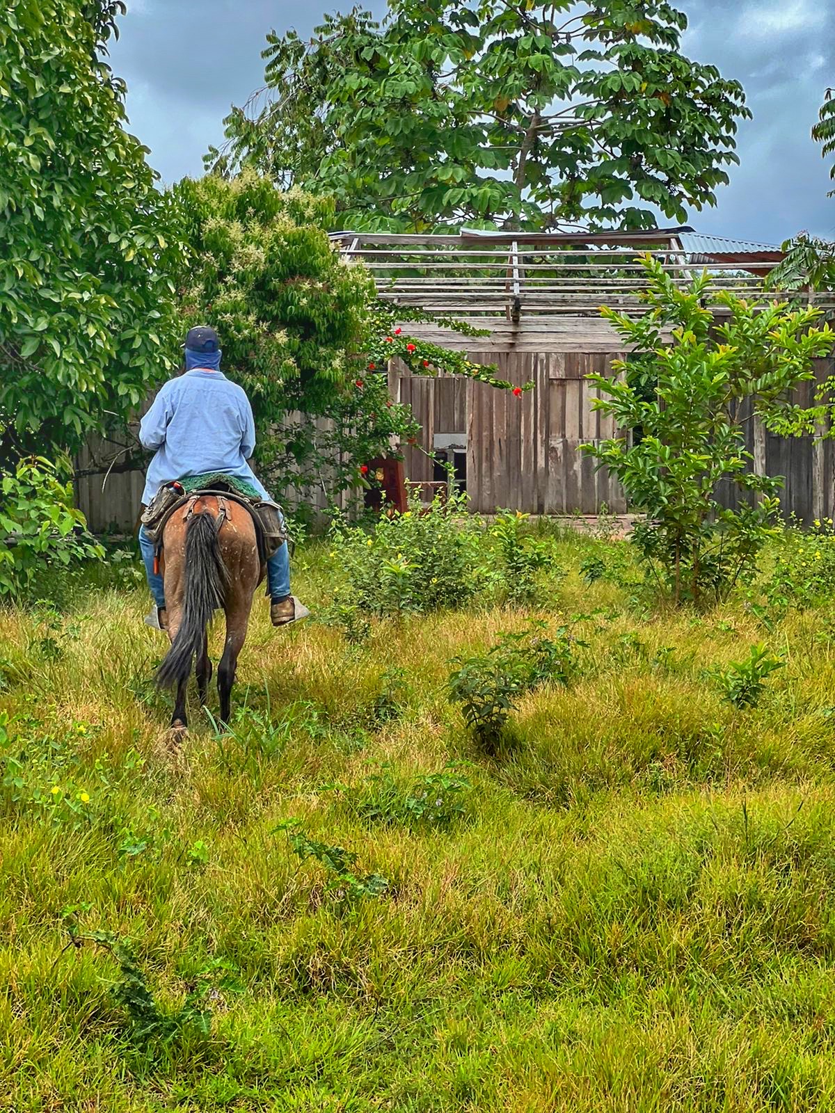 Agencia de Tierras entregará títulos de propiedad a campesinos de Antioquia