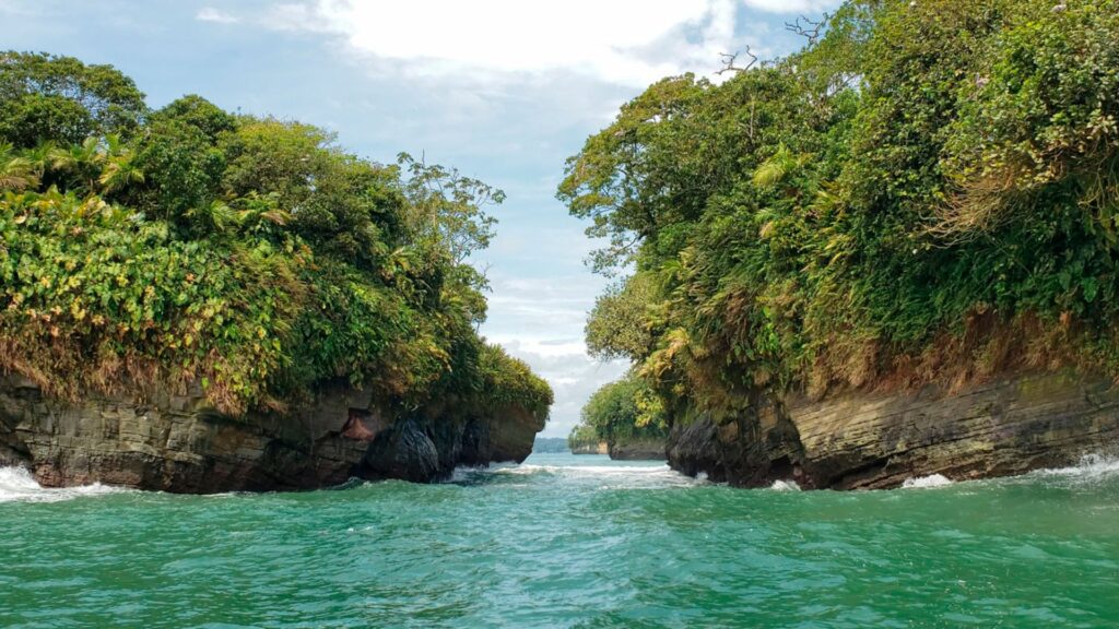 Imagen de referencia / Página Parque Nacionales Naturales de Colombia