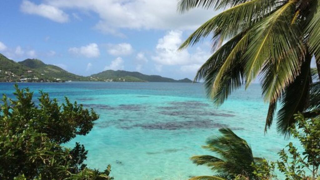 Imagen de referencia / Página Tripadvisor