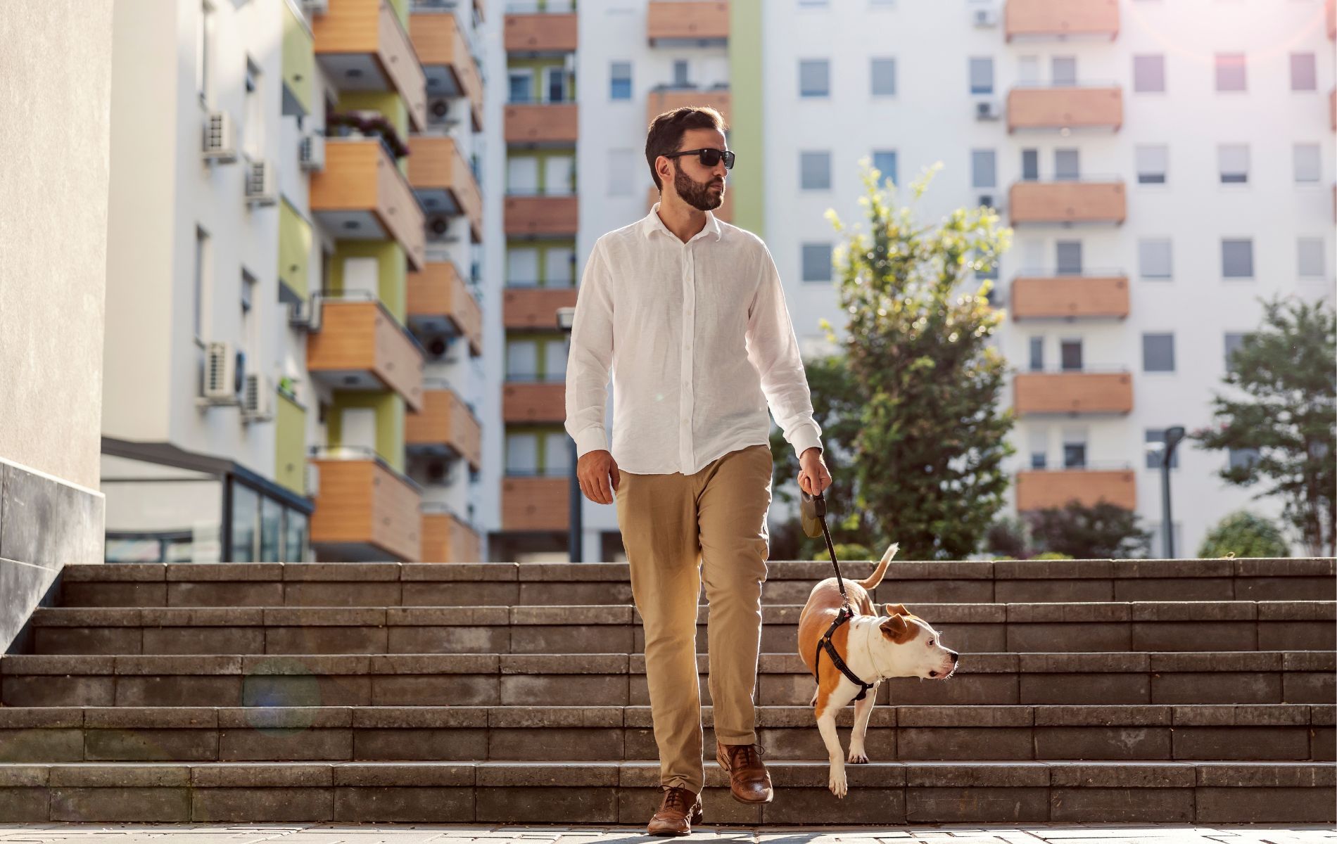 Advertencia a los propietarios que viven con mascotas en conjuntos residenciales