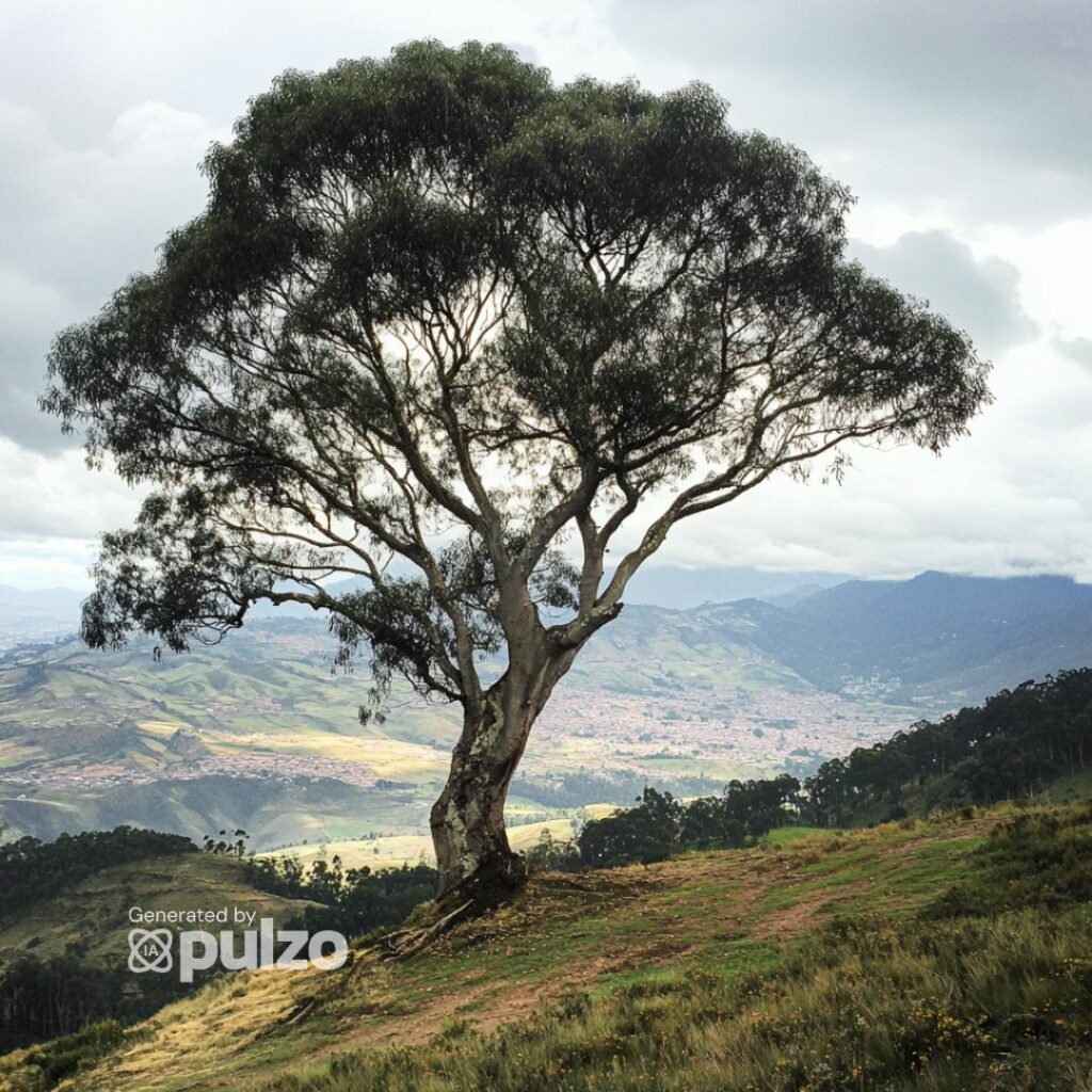 Midjourney - Pulzo IA.