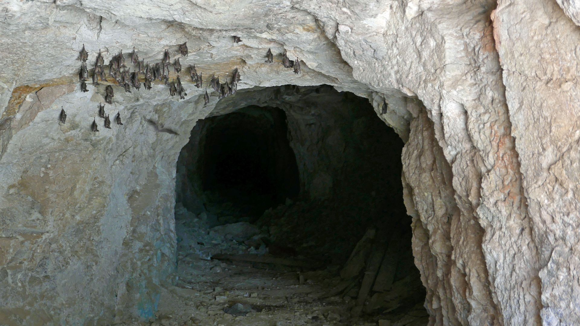 Cueva de murciélagos para turismo en Bogotá: dónde queda y cómo llegar