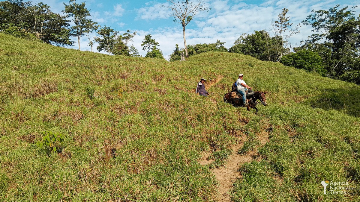 Cuántos predios ha comprado la Agencia de Tierras para los campesinos desde 2022