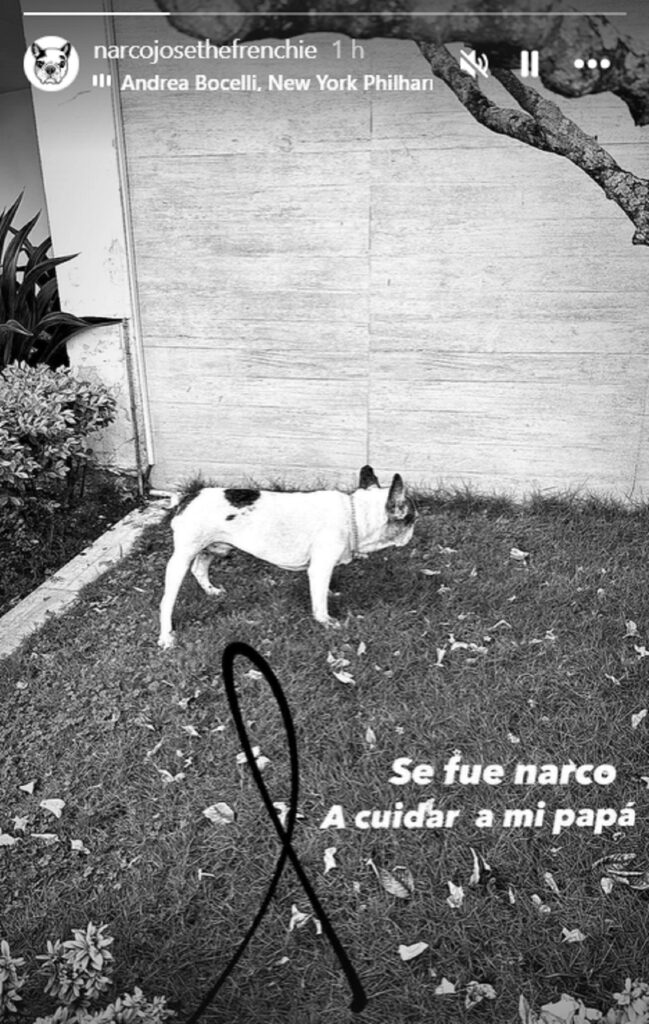 Captura de pantalla de Instagram: (narcojosethefrenchie)