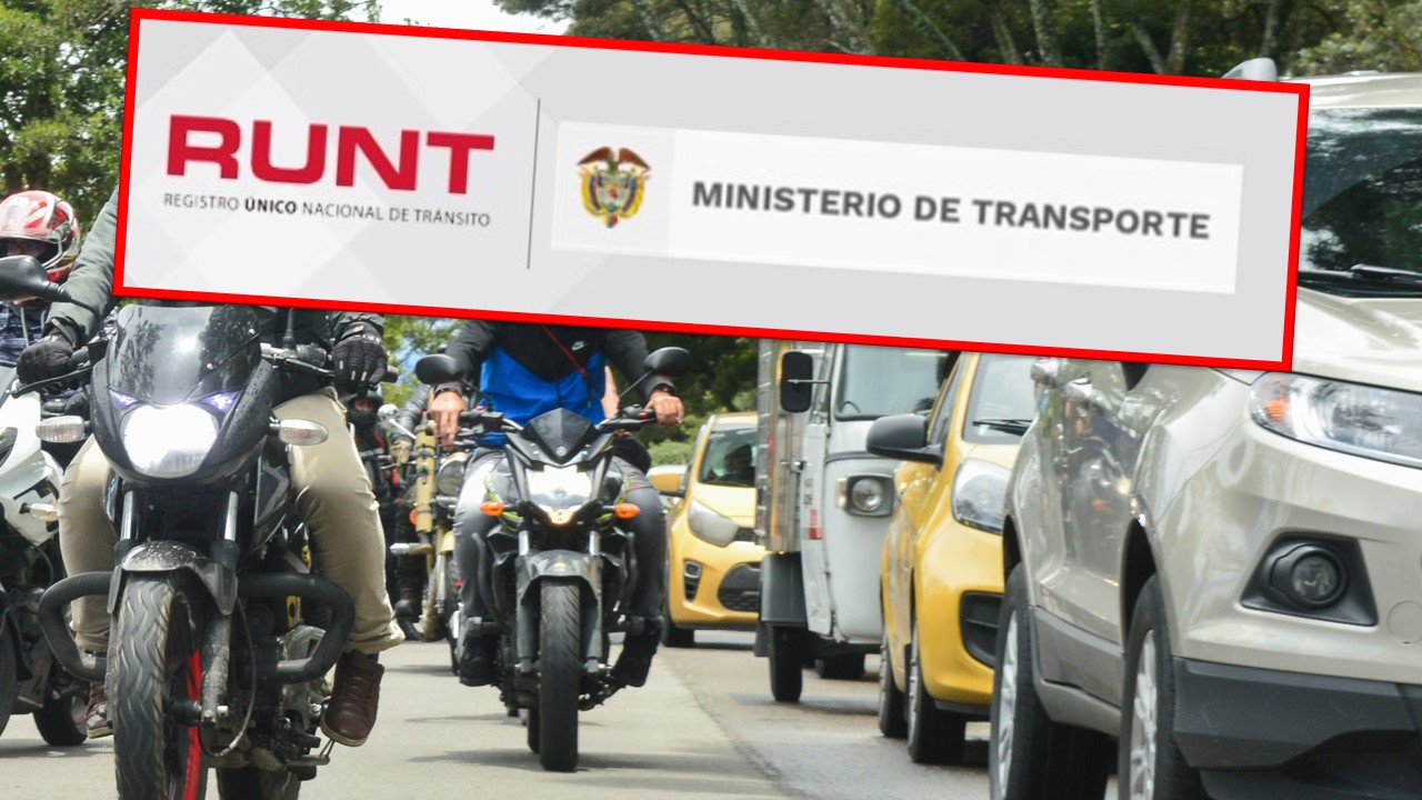 Imagen noticia seccion
