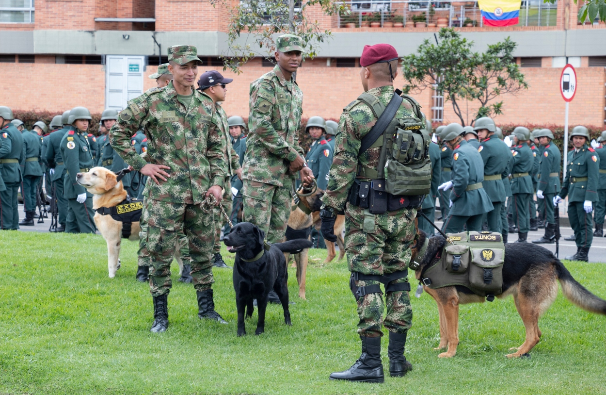 ¿Busca alternativas al servicio militar?: está lista la modalidad social para la paz