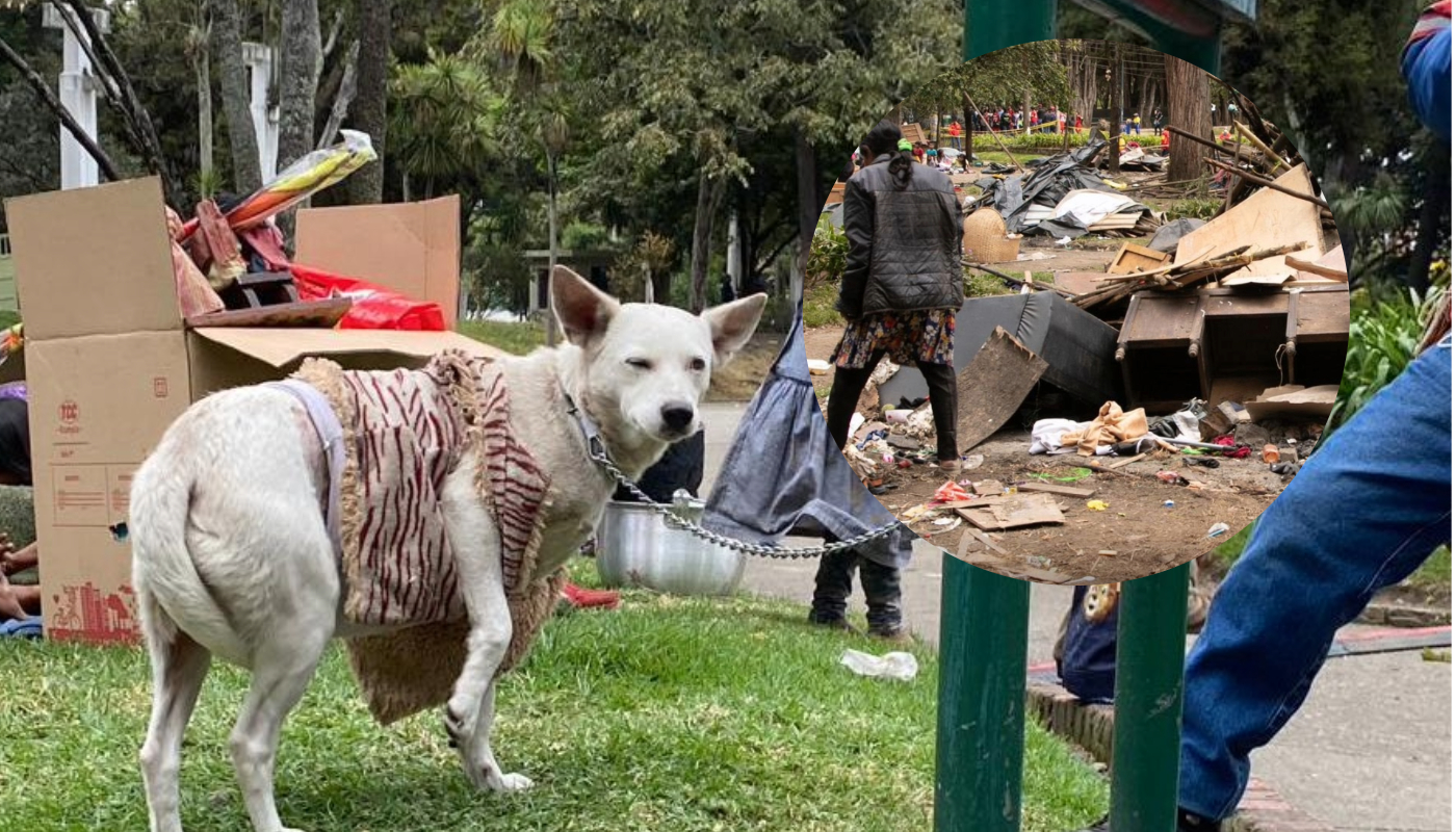 No llevar mascotas al Parque Nacional. 