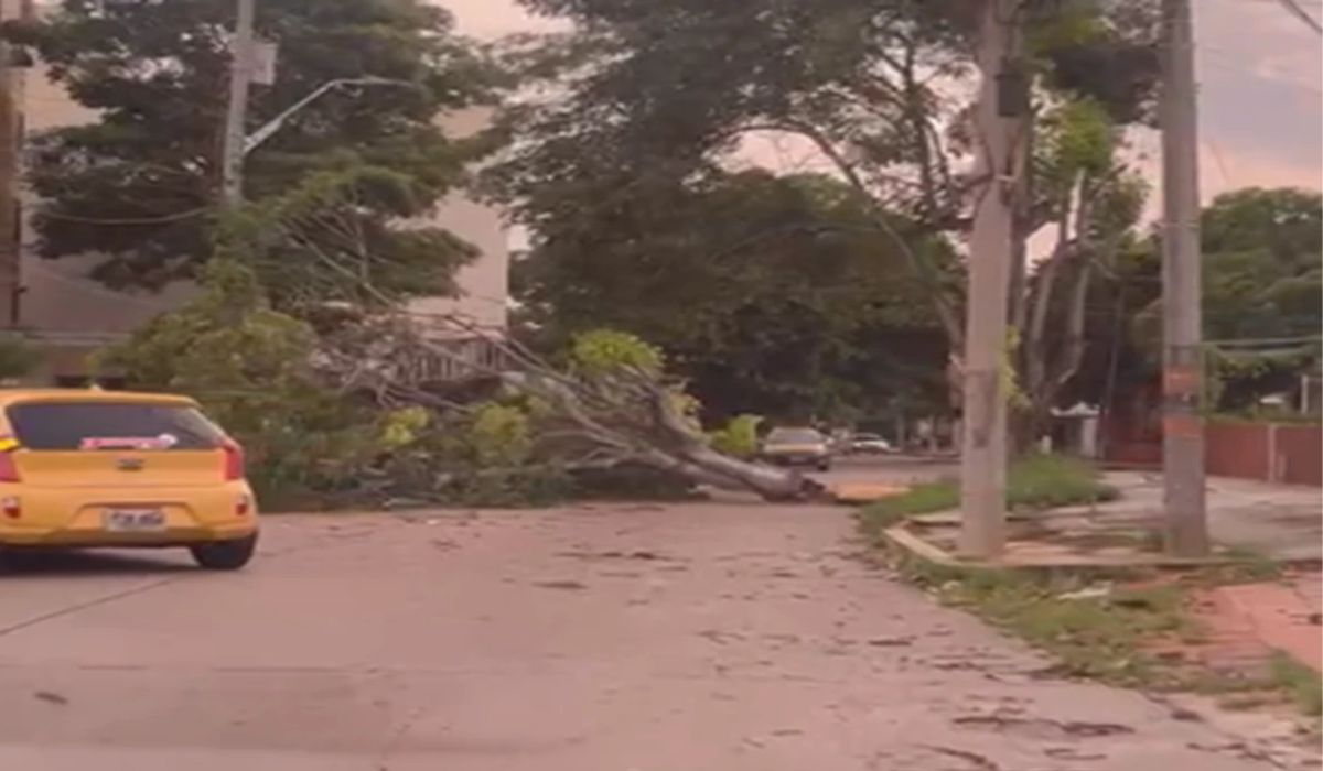 Barranquilla amaneció con muchos daños por duro vendaval que causó pánico