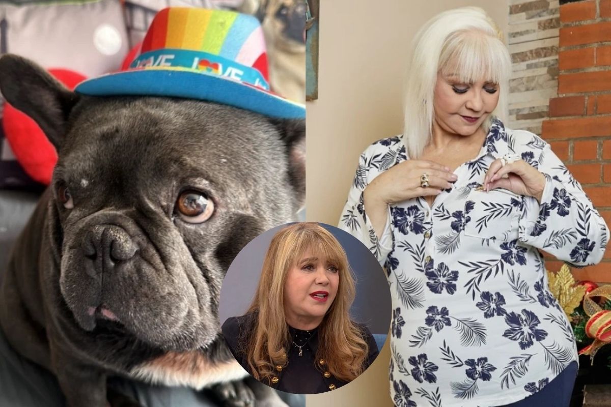 ¿Qué pasará con los perros de la 'Gorda' Fabiola? Patricia Silva, preocupada por quién los tendrá