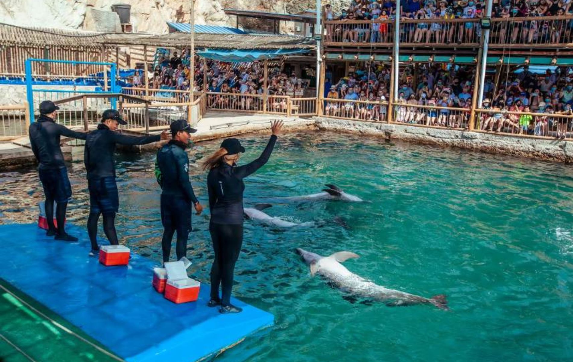 Qué precio tiene la entrada al Acuario de Santa Marta en 2024; son variables.