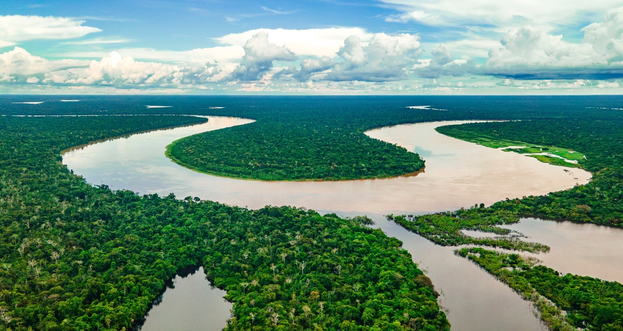 Minambiente abre consulta ciudadana sobre plan para proteger la biodiversidad