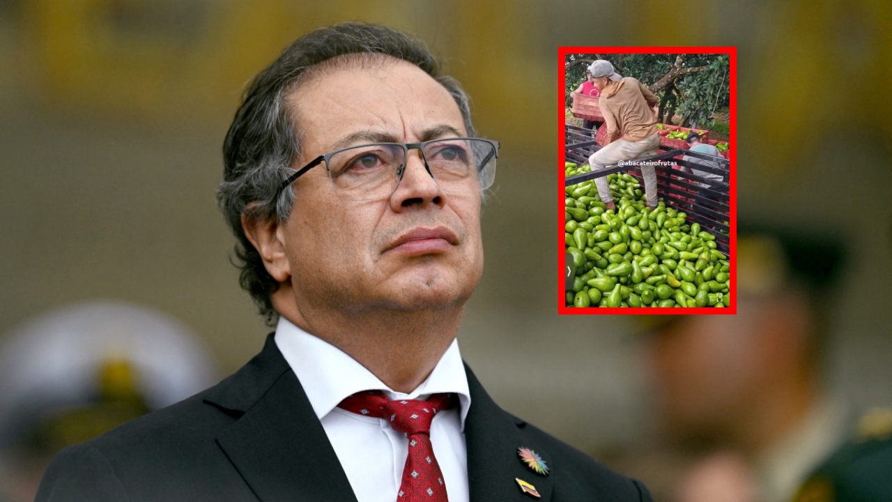 Gustavo Petro, a propósito de lo que dijo sobre la supuesta producción de aguacates en Colombia, pero que era en Brasil: video