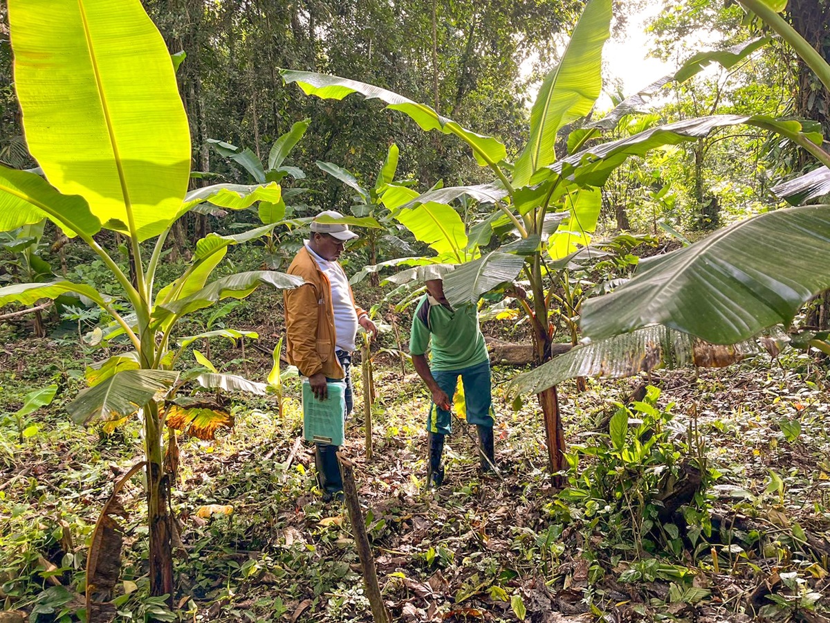 Con Usaid, Estados Unidos apoyará a ANT en formalización de tierras a campesinos