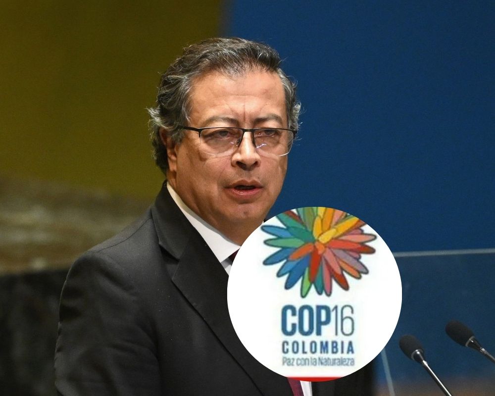 Imagen noticia seccion