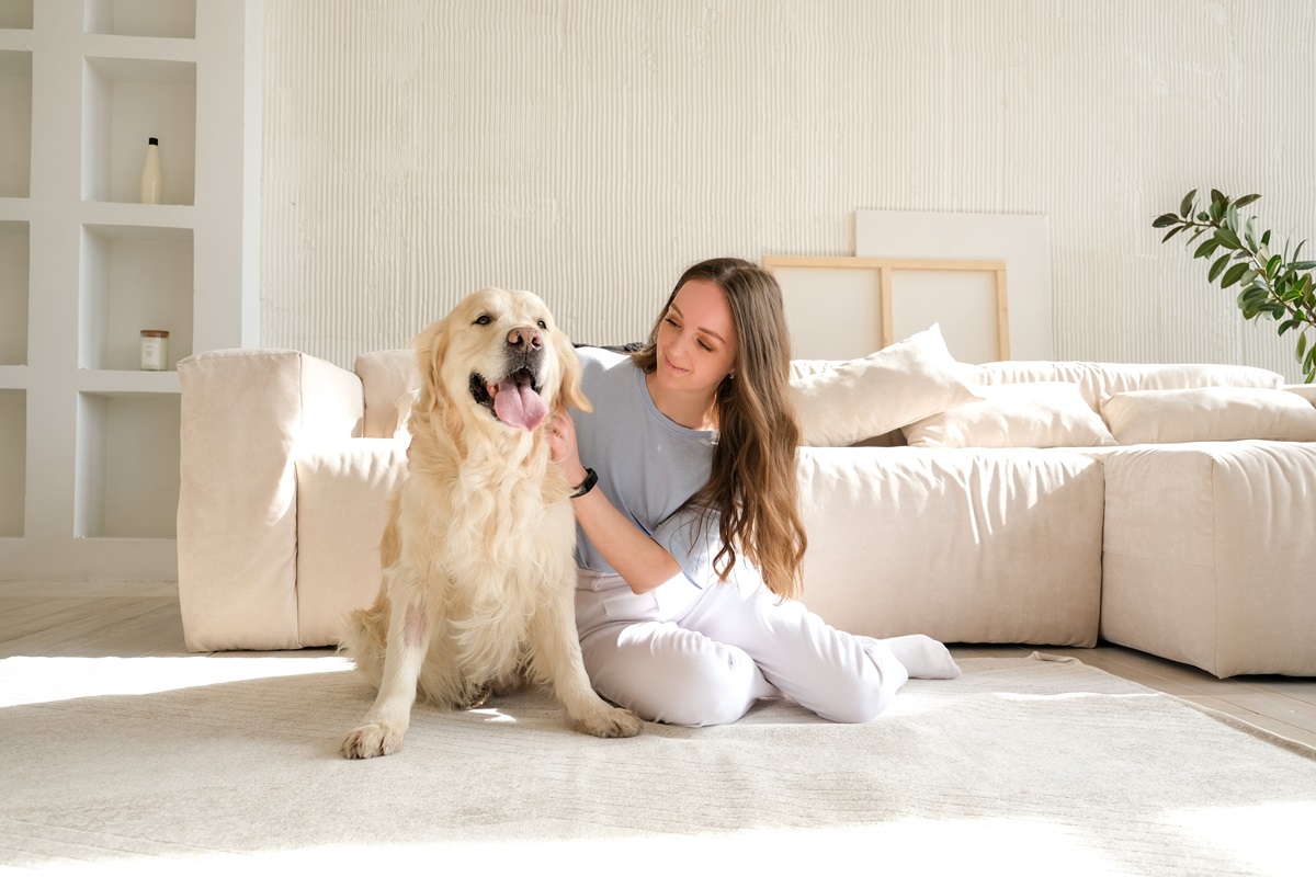 Vivienda en Colombia y multas de casi $ 100.000 por desechos de mascotas