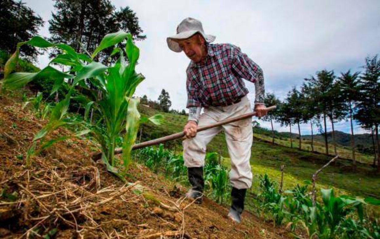 Ley de jurisdicción agraria: Gobierno Nacional manda mensaje para radicar norma