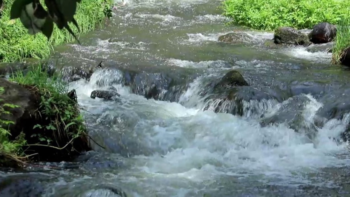 CAR y ONU firmaron alianza en la COP16 para garantizar agua en Cundinamarca