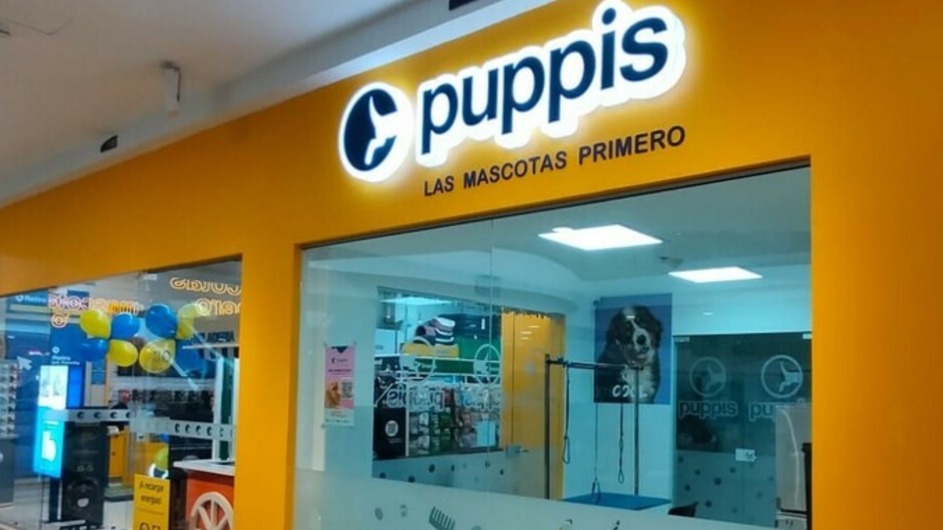 Puppis abrirá nuevas tiendas en Colombia y dueños de mascotas lo verán pronto