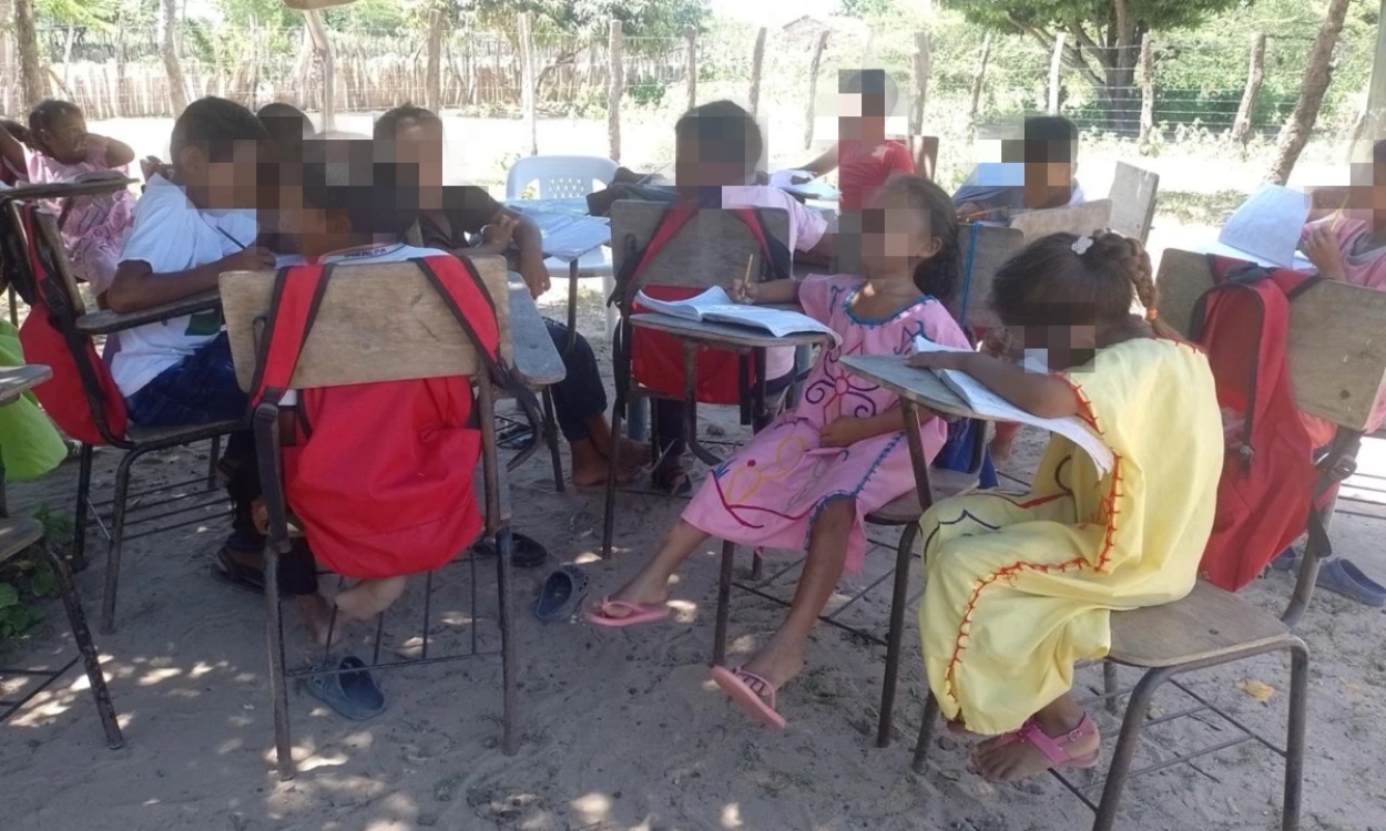 La Guajira hoy: niños reciben clases debajo de un árbol al quedarse sin escuela