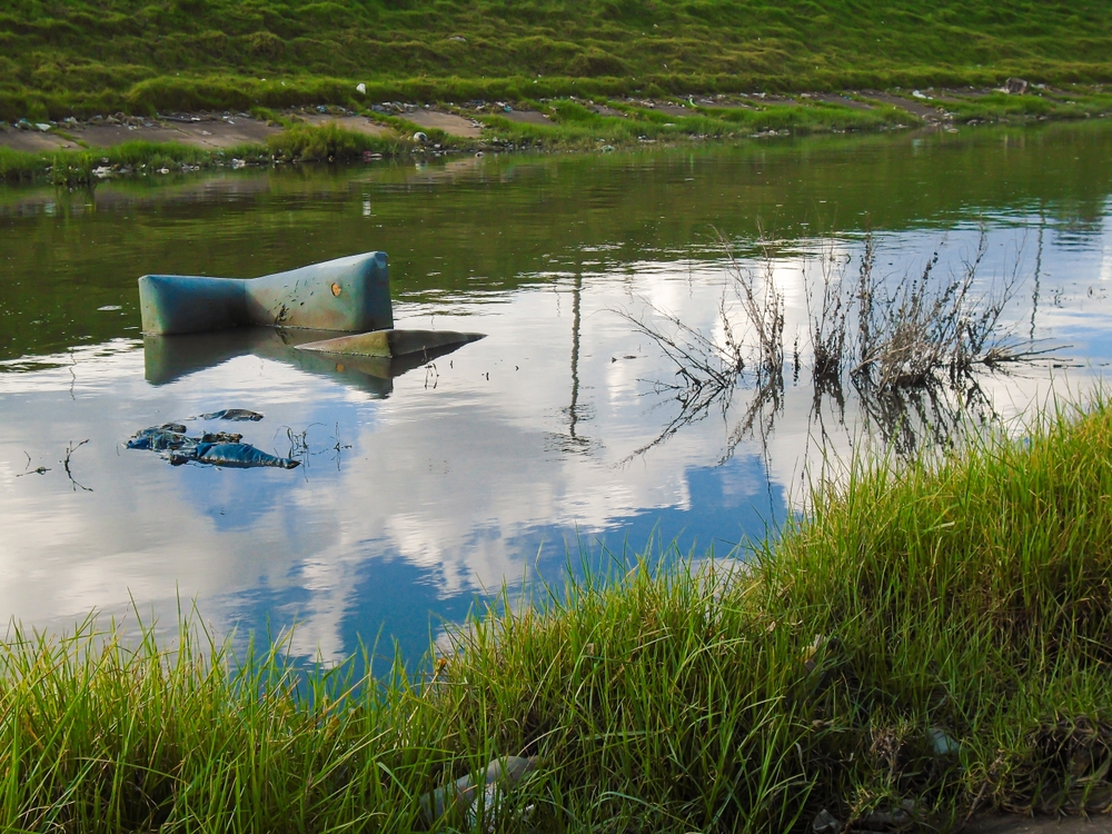 La degradación ambiental afecta la seguridad alimentaria según la FAO. Foto: Shutterstock.