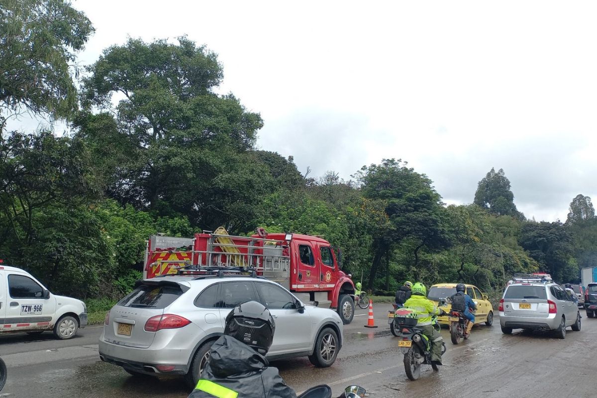 Padre de joven que murió en caída de árbol hizo llamado a alcaldía de Bogotá