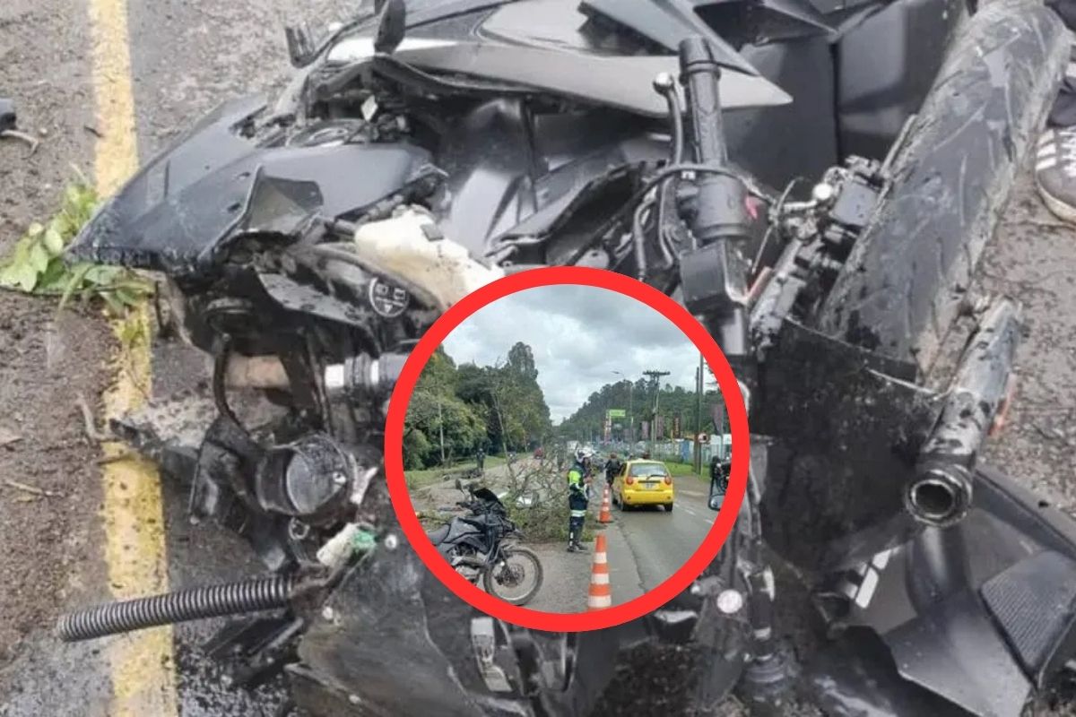 ¿Quién era la joven que murió por caída de árbol en Autopista Norte?