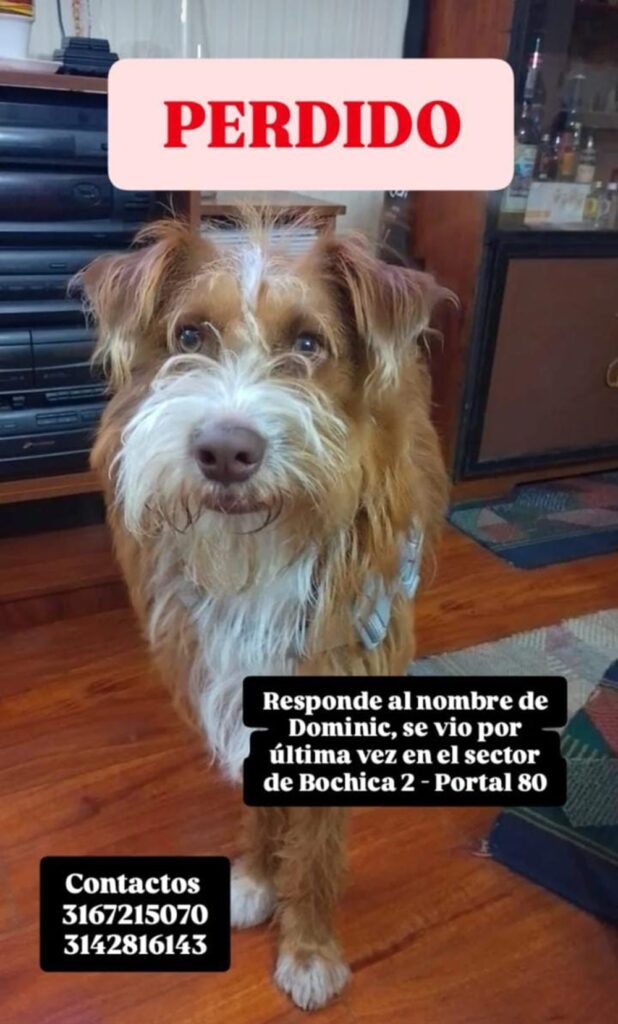 Cortesía a Pulzo