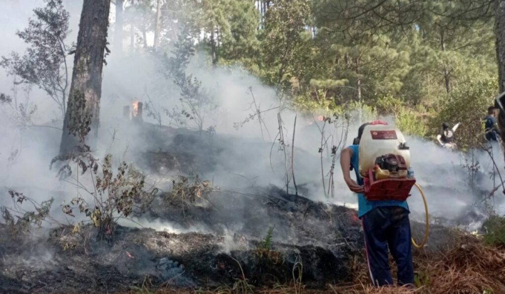Fotos de accidente de avioneta en Jalisco, México/Foto: AFP.