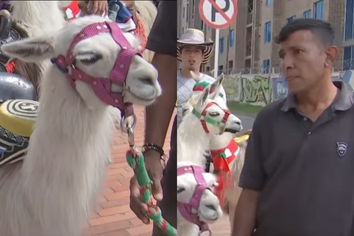 Captura de pantalla de llama en Bogotá.