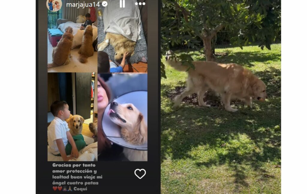 Pilar Rubiodspidió a su mascota. Foto: Instagram.