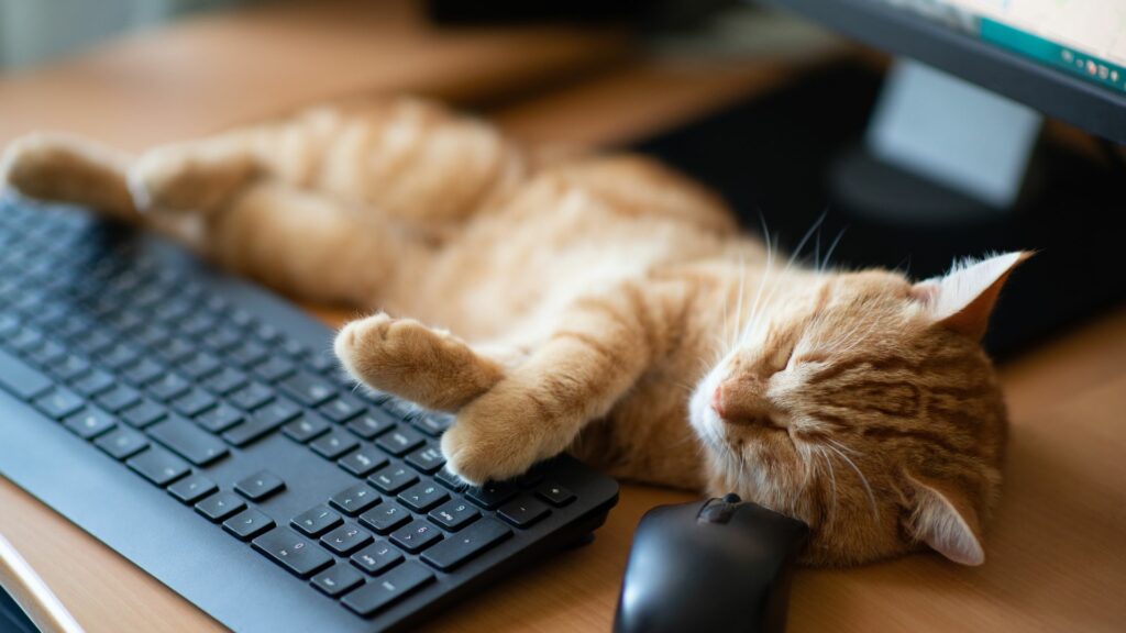 Imagen de referencia / Shutterstock