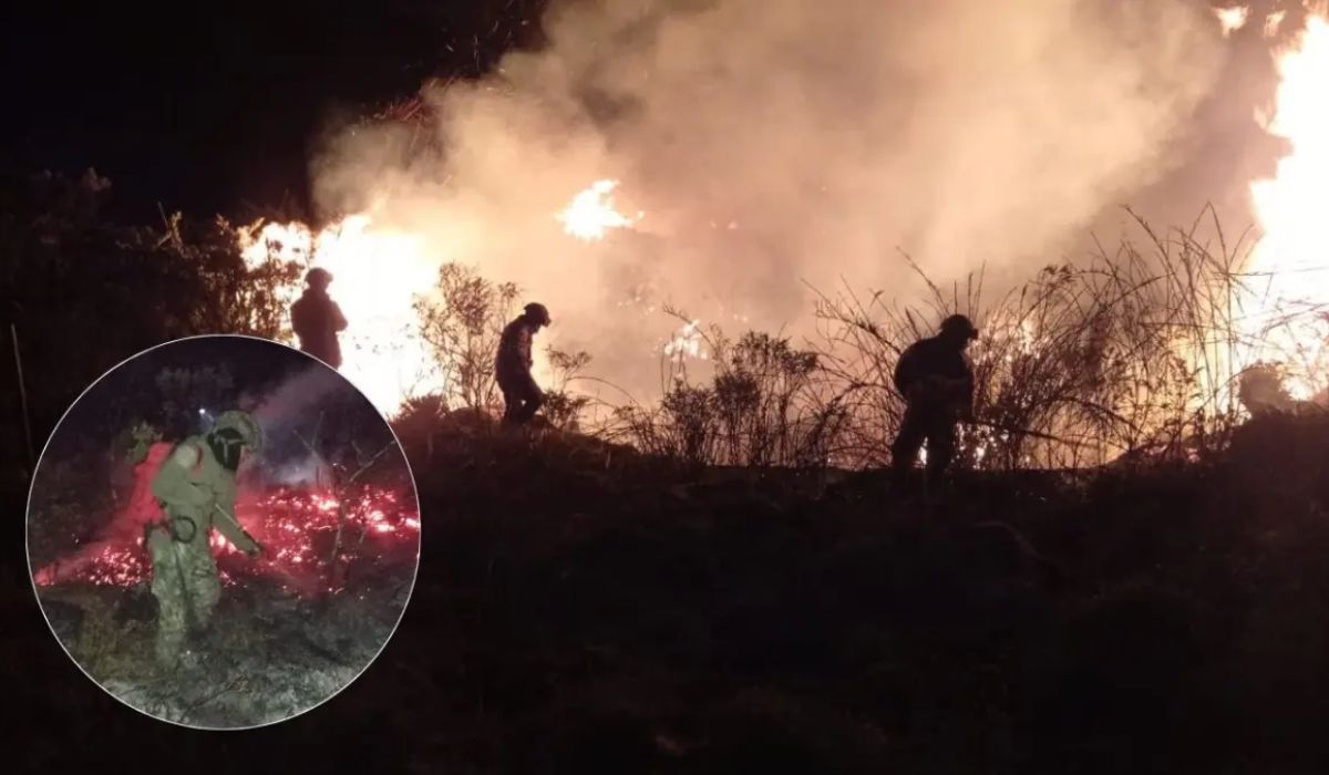 Incendio forestal en el Parque Nacional de Chingaza: videos e imágenes de todo