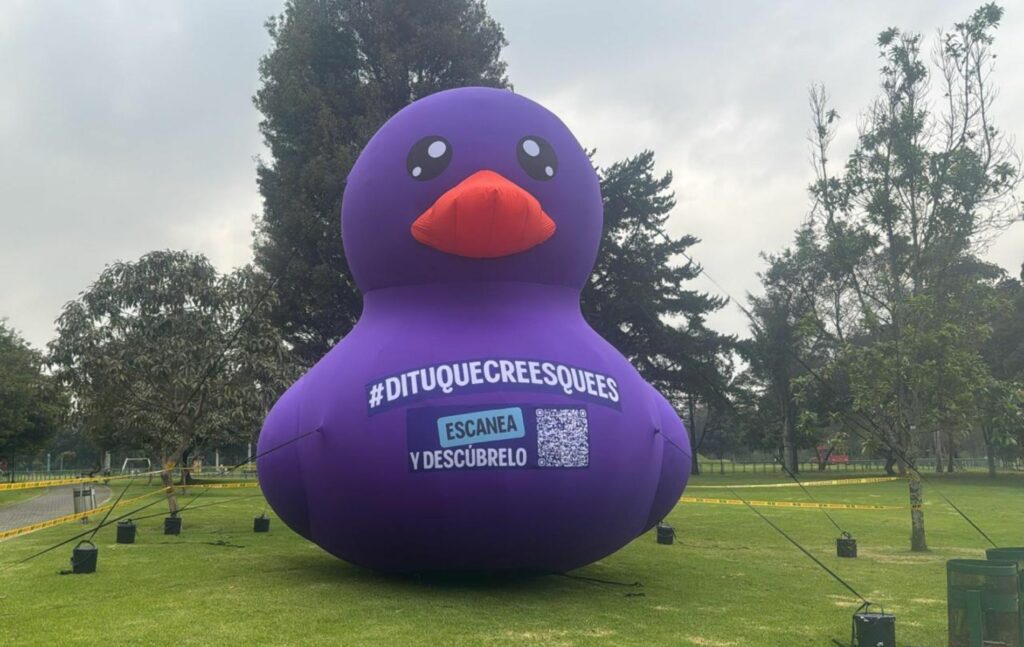 Por qué hay patos morados en los parques de Bogotá. Foto: Caracol TV.