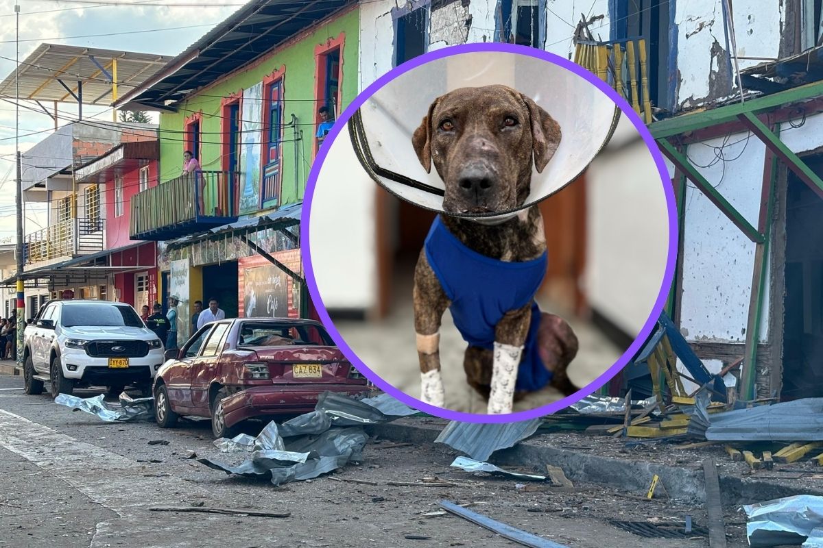 Imagen noticia seccion
