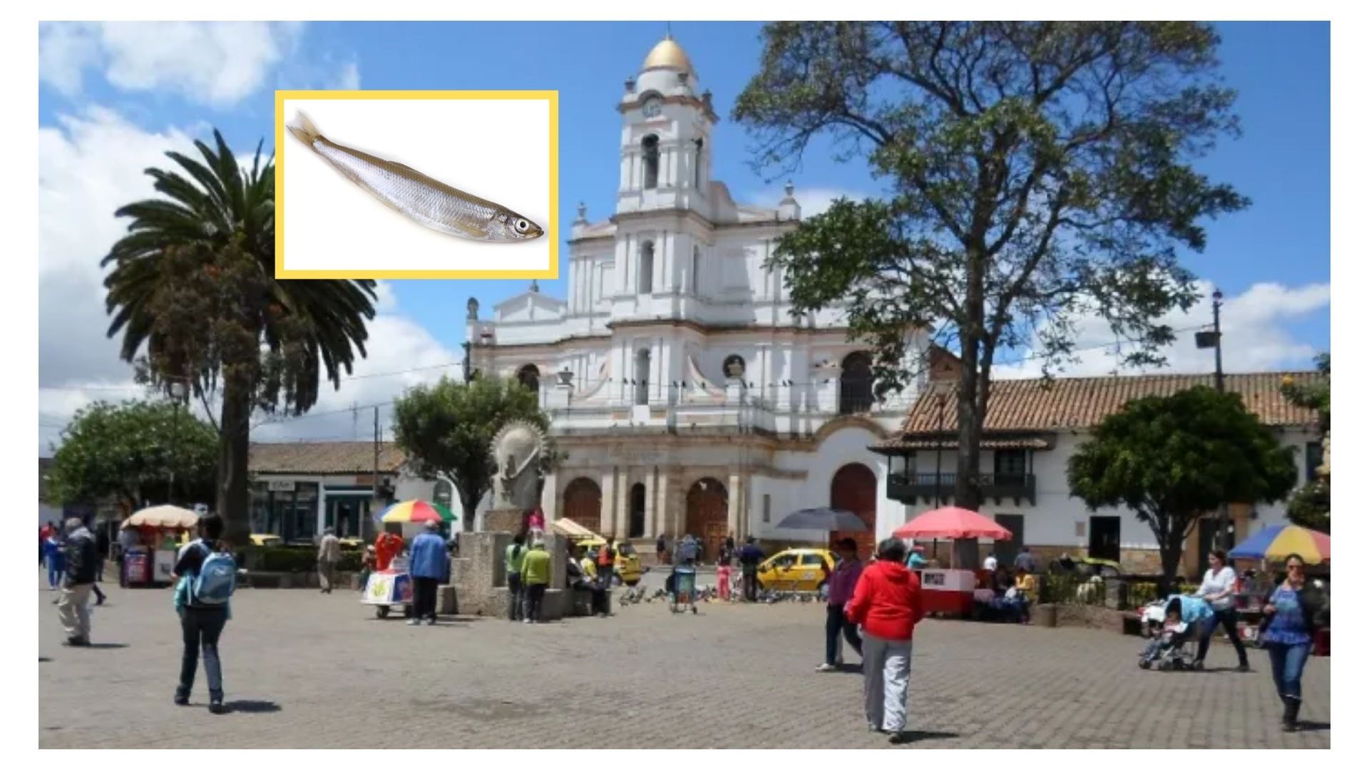 Imagen noticia seccion