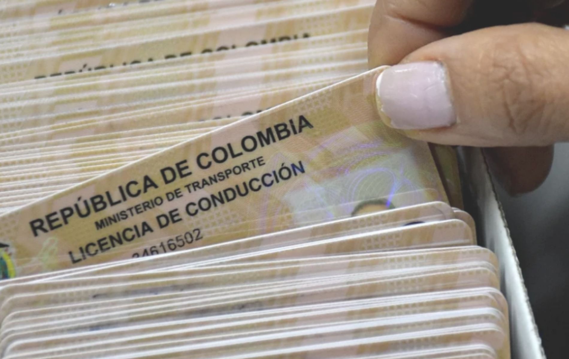 Imagen noticia seccion