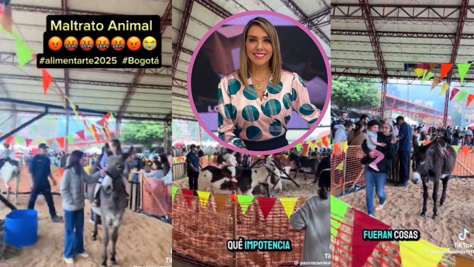 Imagen noticia seccion