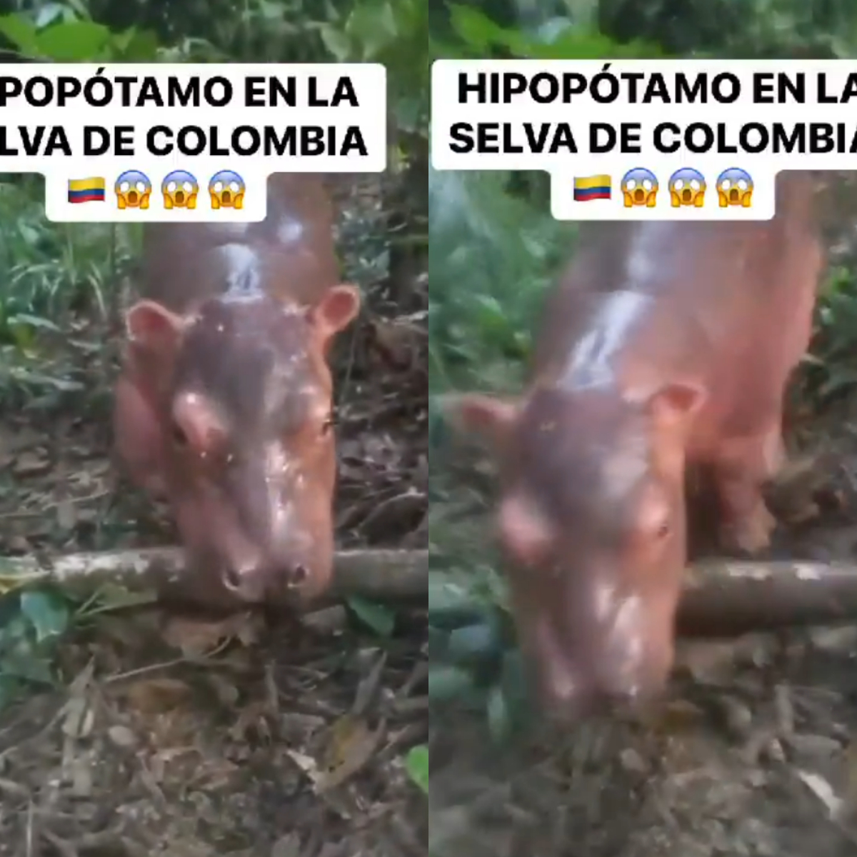 Imagen noticia seccion