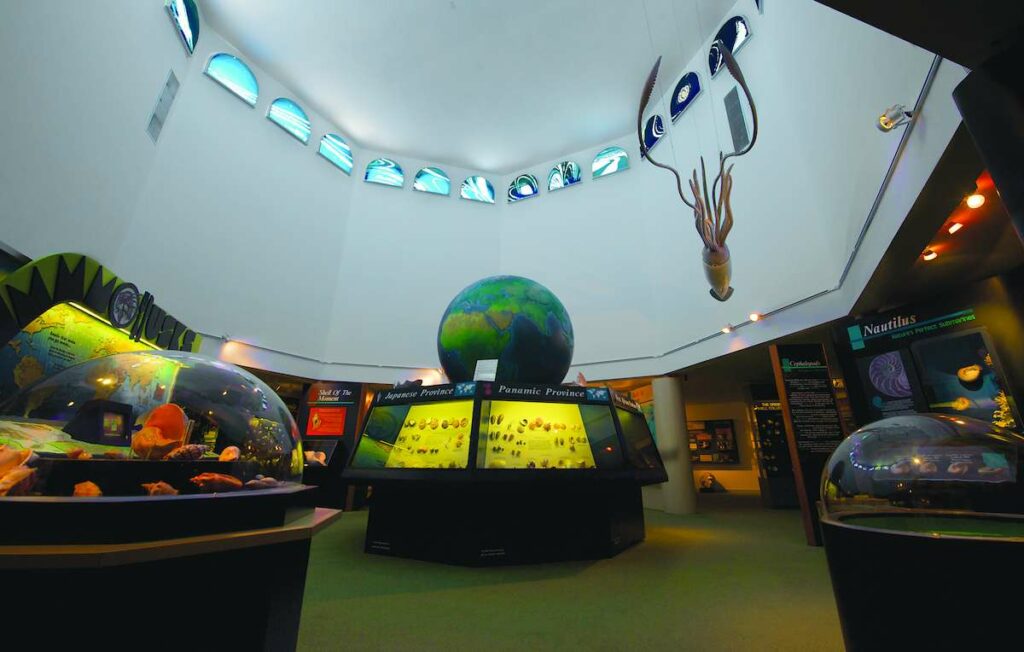 Bailey-Matthews National Shell Museum & Aquarium, en Fort Myers (Florida)./ Cortesía Visit Florida