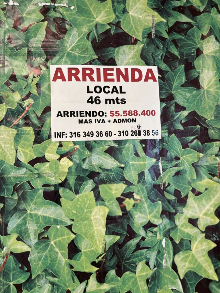 Local arriendo Salitre Plaza.