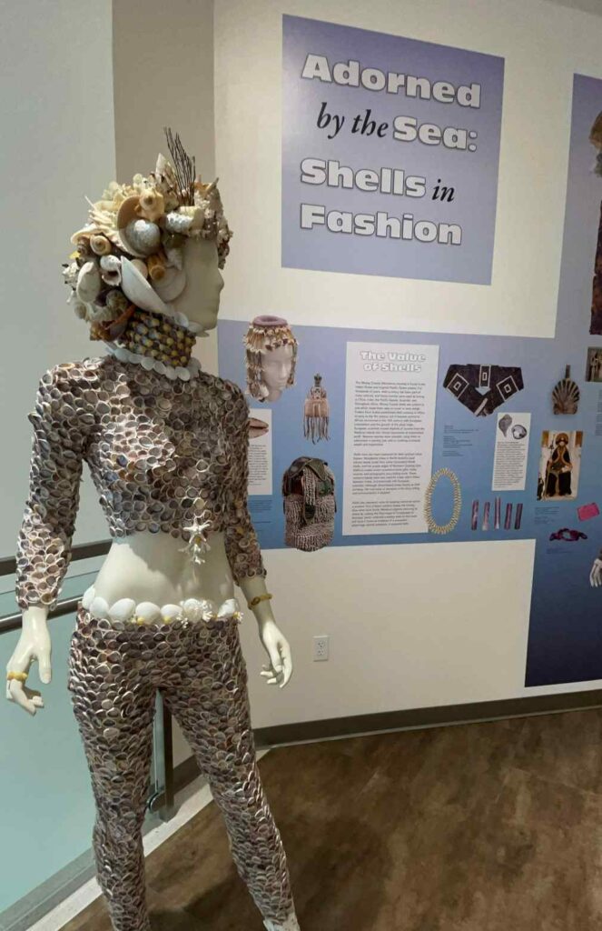 Bailey-Matthews National Shell Museum & Aquarium./ Cortesía