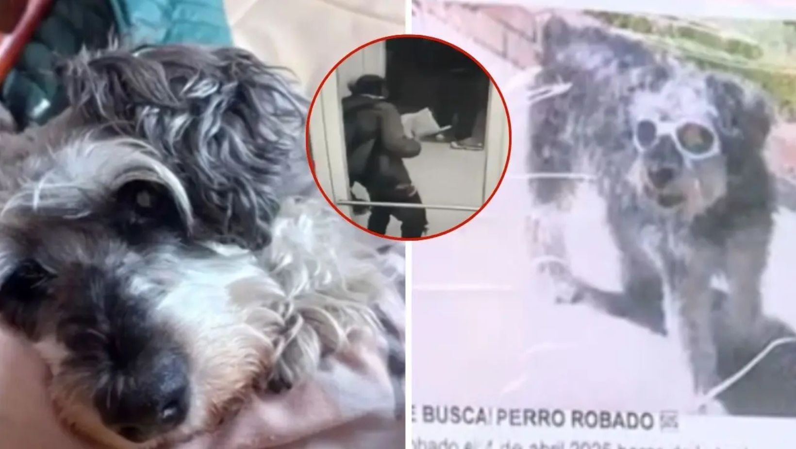 Imagen noticia seccion