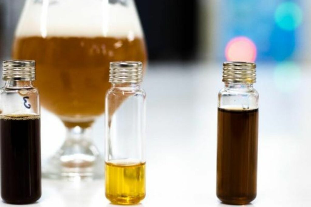 El proyecto de investigación sobre la cerveza hizo parte de una tesis doctoral / Universidad de la Sabana